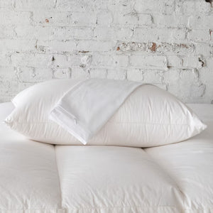 Allergy Pillow Protector