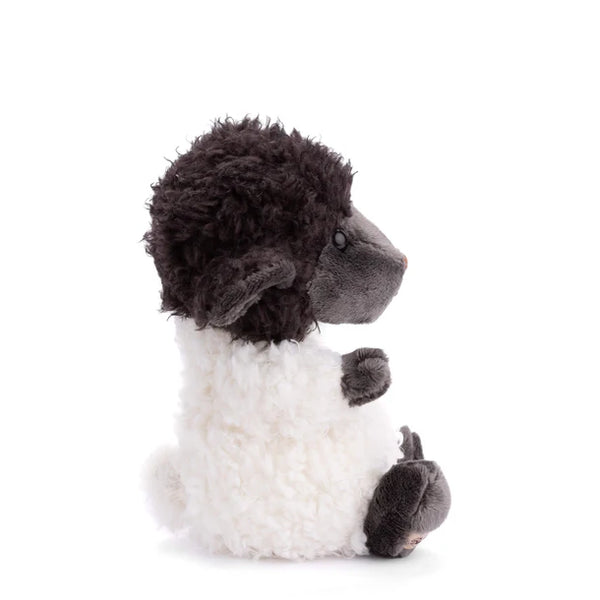 Black Sheep