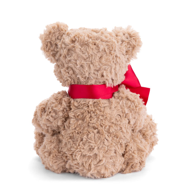 Christian Bear