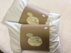 Buckwheat Pillows