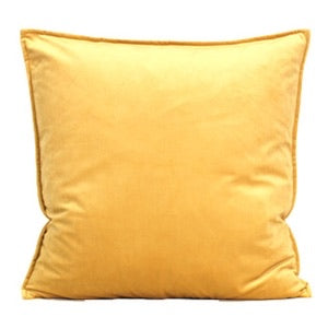 Dutch Velvet Cushion